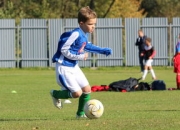 开云体育-日本乒乓球队血洗奥地利乒乓球队，张继科关键制胜