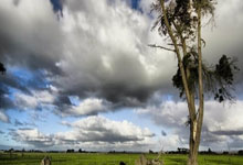 开云体育登录-ATP总决赛险胜温网，鲁德点燃赛场